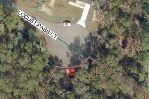 Land in Ocala, Florida № 2159229 - photo 4