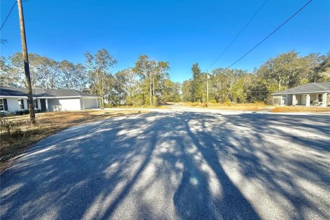 Land in Ocala, Florida № 2159229 - photo 2