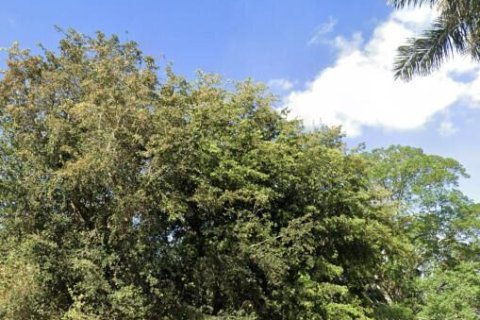 Terreno en venta en Pahokee, Florida № 998405 - foto 1
