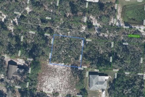 Land in Sebring, Florida № 2345543