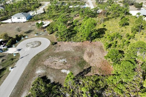 Land in Placida, Florida № 2228590 - photo 16