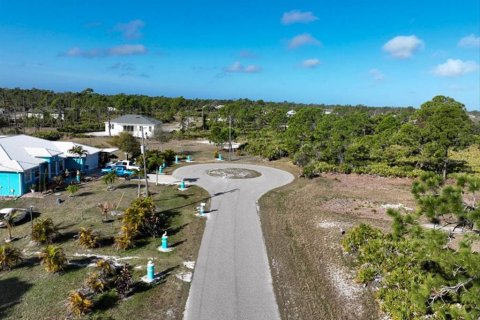 Land in Placida, Florida № 2228590 - photo 2