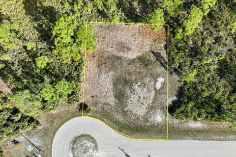 Land in Placida, Florida № 2228590 - photo 5