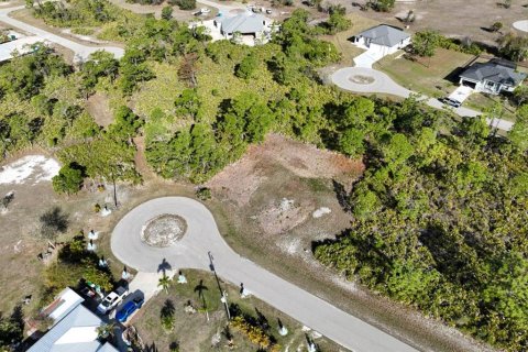 Land in Placida, Florida № 2228590 - photo 13