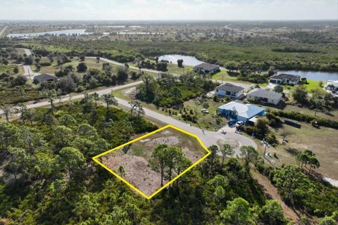 Land in Placida, Florida № 2228590 - photo 10