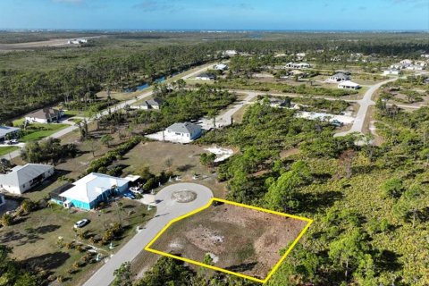 Land in Placida, Florida № 2228590 - photo 7