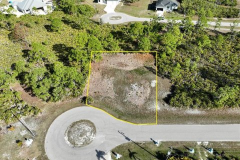 Land in Placida, Florida № 2228590 - photo 3