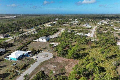 Land in Placida, Florida № 2228590 - photo 15