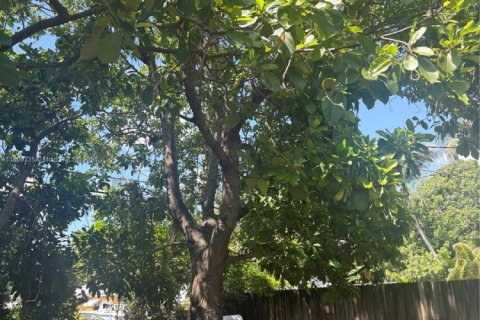 House in Hollywood, Florida 3 bedrooms, 96.62 sq.m. № 1683620 - photo 26