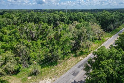 Land in Thonotosassa, Florida № 1853013 - photo 8