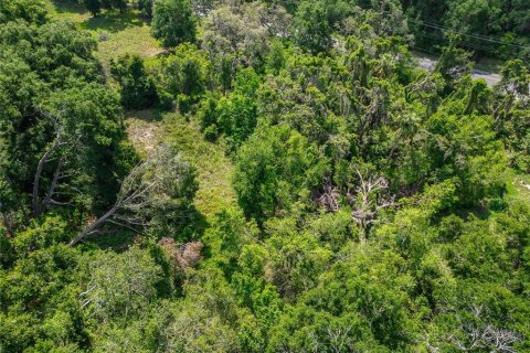 Land in Thonotosassa, Florida № 1853013 - photo 30