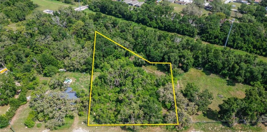 Land in Thonotosassa, Florida № 1853013