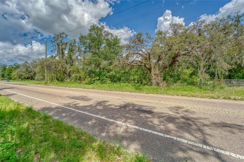 Land in Thonotosassa, Florida № 1853013 - photo 4