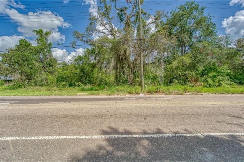 Land in Thonotosassa, Florida № 1853013 - photo 3