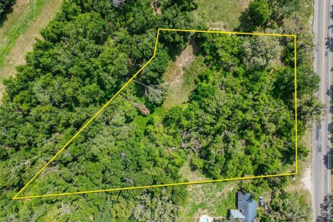 Land in Thonotosassa, Florida № 1853013 - photo 18