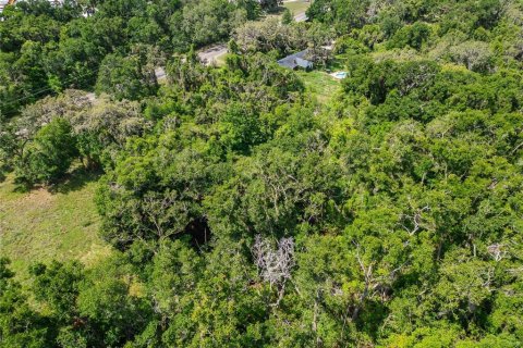 Land in Thonotosassa, Florida № 1853013 - photo 27