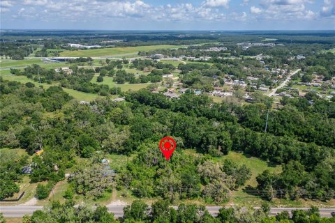 Land in Thonotosassa, Florida № 1853013 - photo 16