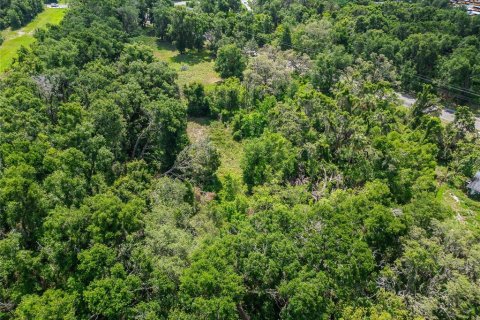 Land in Thonotosassa, Florida № 1853013 - photo 29