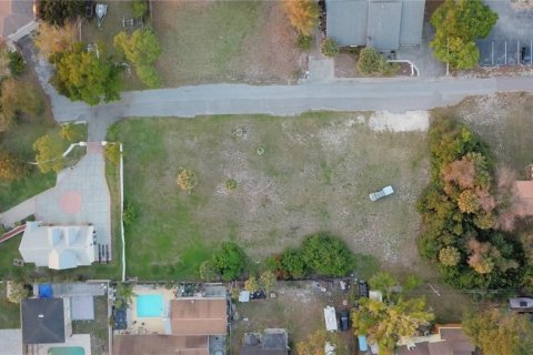 Land in Tarpon Springs, Florida № 1919308 - photo 3