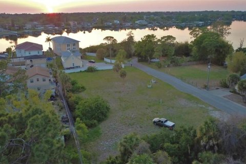 Land in Tarpon Springs, Florida № 1919308 - photo 5