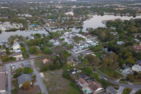 Land in Tarpon Springs, Florida № 1919308 - photo 7