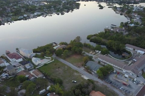 Land in Tarpon Springs, Florida № 1919308 - photo 8