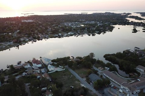 Land in Tarpon Springs, Florida № 1919308 - photo 4