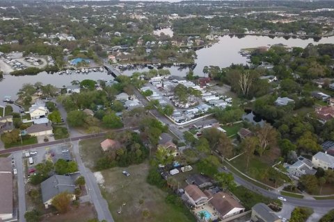 Land in Tarpon Springs, Florida № 1919308 - photo 6