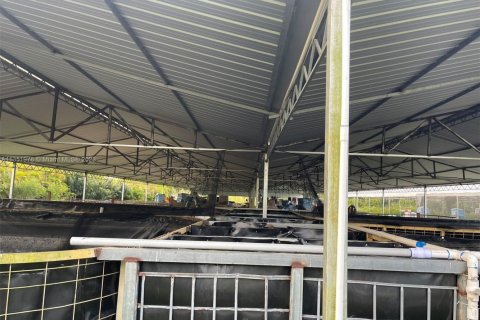 Propiedad comercial en venta en Miami, Florida № 2016588 - foto 9