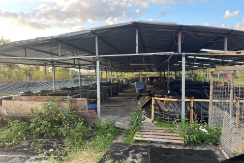 Propiedad comercial en venta en Miami, Florida № 2016588 - foto 7