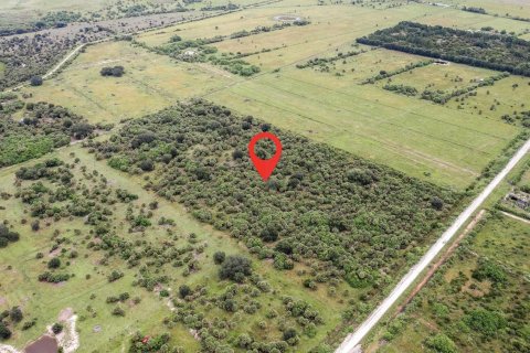 Propiedad comercial en Okeechobee, Florida № 2194891