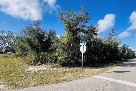 Terrain à vendre à Punta Gorda, Floride № 2160943 - photo 2