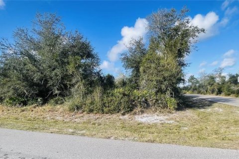 Terrain à Punta Gorda, Floride № 2160943
