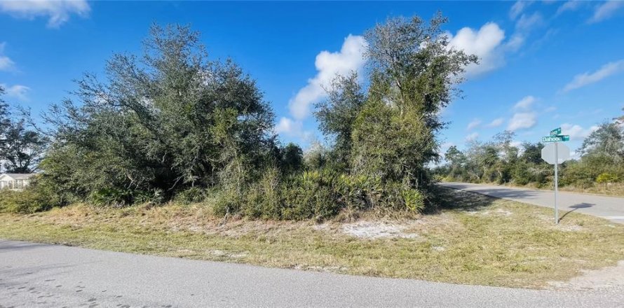 Terrain à Punta Gorda, Floride № 2160943