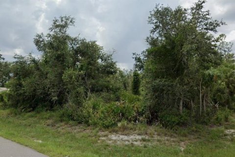 Terrain à vendre à Punta Gorda, Floride № 2160943 - photo 4