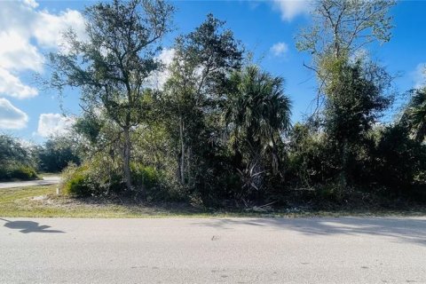 Terrain à vendre à Punta Gorda, Floride № 2160943 - photo 3