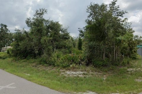 Terrain à vendre à Punta Gorda, Floride № 2160943 - photo 5