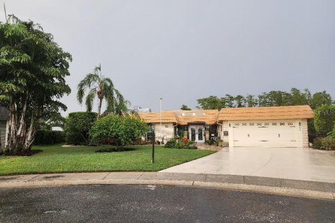 House in Sun City Center, Florida 3 bedrooms, 218.69 sq.m. № 2097019 - photo 2
