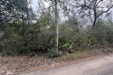 Land in Orange City, Florida № 1545200 - photo 6