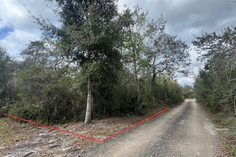 Land in Orange City, Florida № 1545200 - photo 3