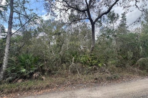 Land in Orange City, Florida № 1545200 - photo 7