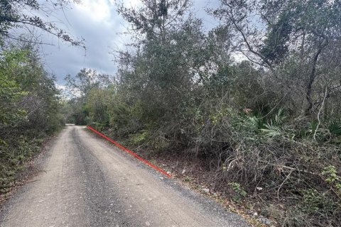 Land in Orange City, Florida № 1545200 - photo 5