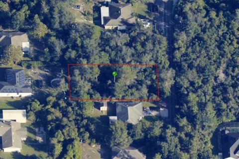 Land in Orange City, Florida № 1545200 - photo 1