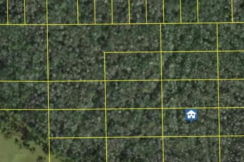 Terrain à Polk City, Floride № 2236735