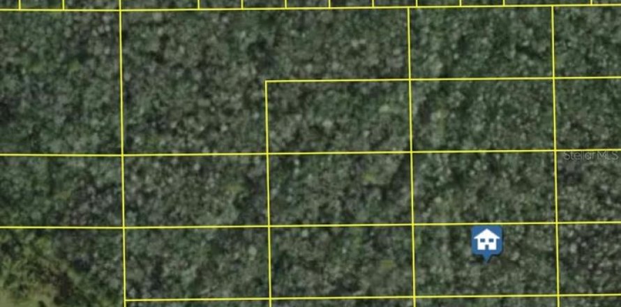 Terrain à Polk City, Floride № 2236735