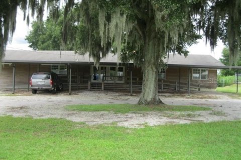 Immobilier commercial à louer à Dade City, Floride: 514.31 m2 № 2097890 - photo 6