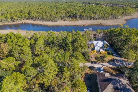 Land in Milton, Florida № 2147518 - photo 12