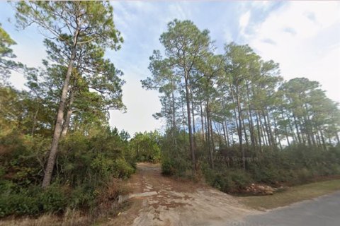 Land in Milton, Florida № 2147518 - photo 9