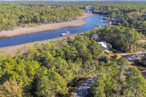 Land in Milton, Florida № 2147518 - photo 13