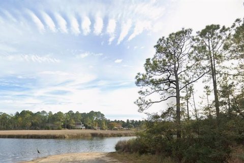 Land in Milton, Florida № 2147518 - photo 2